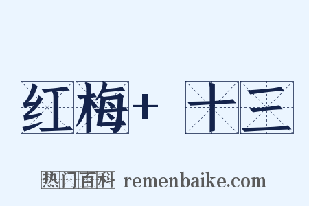 红梅+十三是什么意思的图片